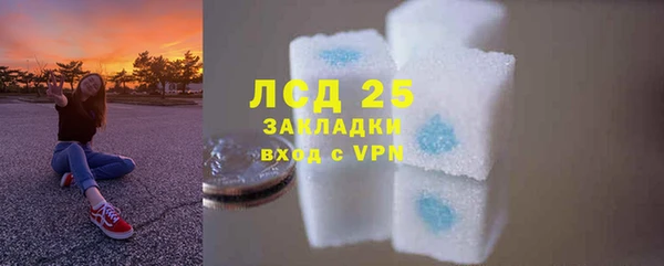 PSILOCYBIN Бородино