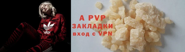 PSILOCYBIN Бородино
