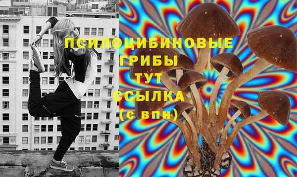 шишки Бугульма