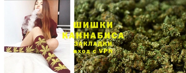 шишки Бугульма