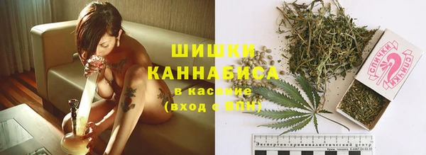 шишки Бугульма